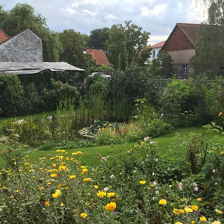 Schoene Gemuetliche Ferienwohnung Mit Kamin I Im Harz Darlingerode Exteriér fotografie