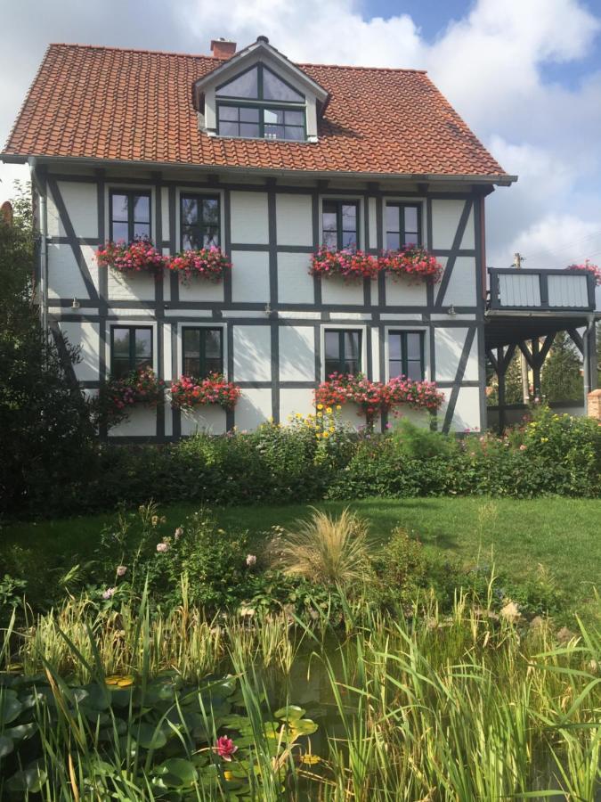 Schoene Gemuetliche Ferienwohnung Mit Kamin I Im Harz Darlingerode Exteriér fotografie